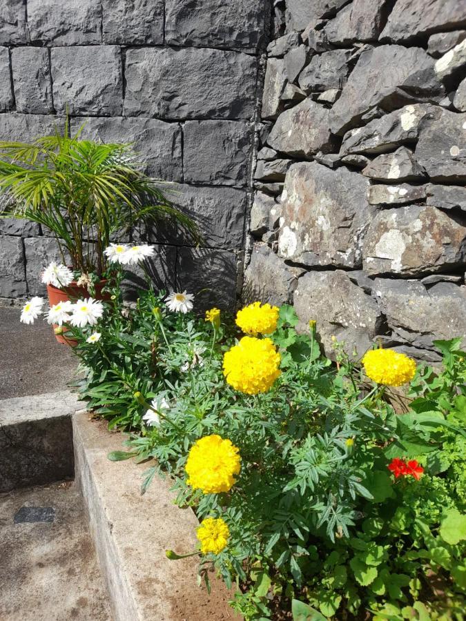 Paraiso Resiliente Santana  Extérieur photo